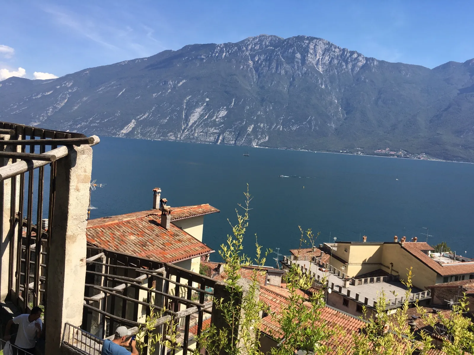 Limonaia del Castèl, Limone