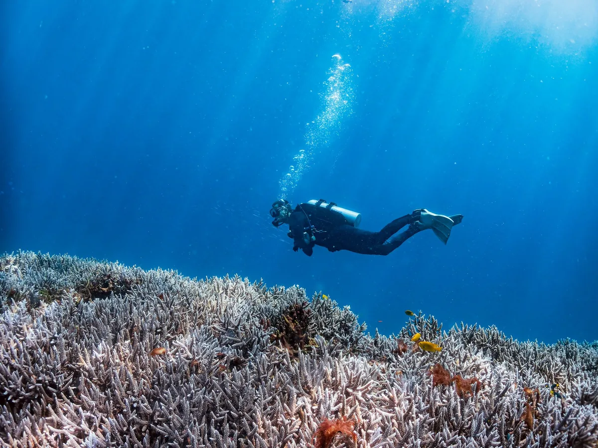 Efektivní pohyb pro potápěče Praha – kurzy plavání