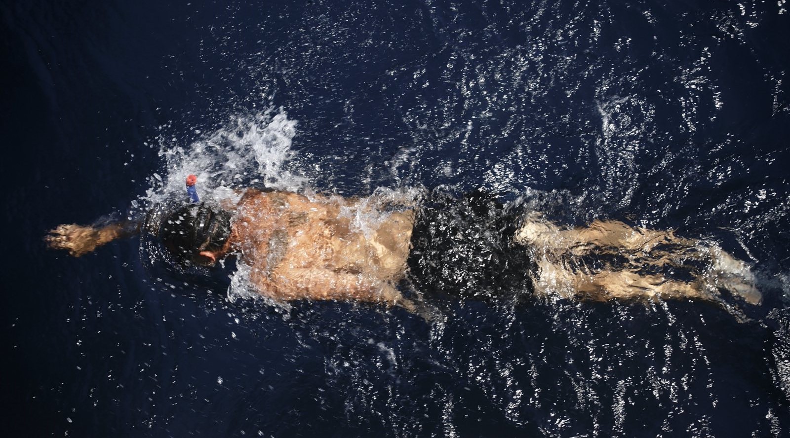 Plavání v otevřené vodě